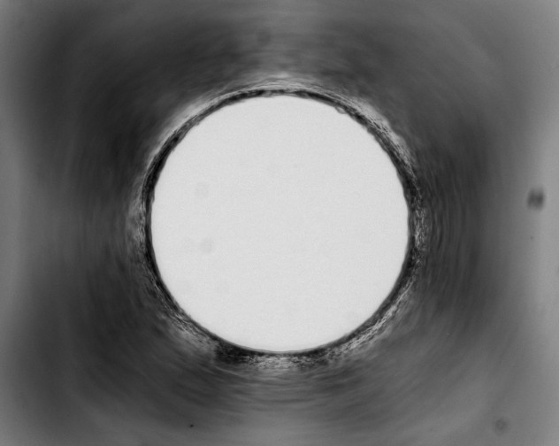 X0000103401167200810241004