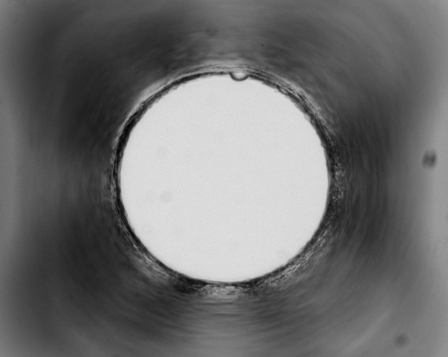 X0000103401168200810241004