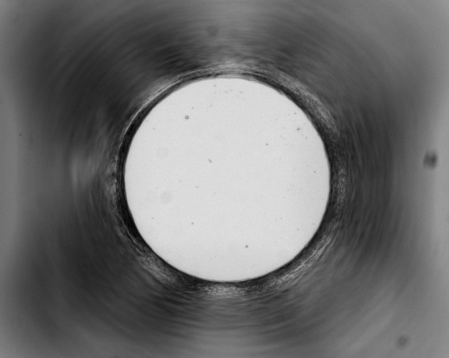 X0000103401170200810241004