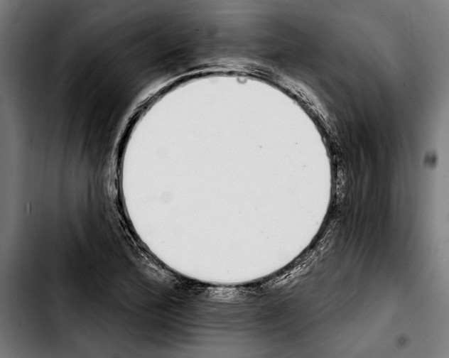 X0000103401172200810241004