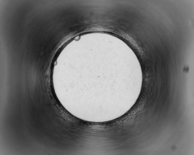 X0000103401173200810241004