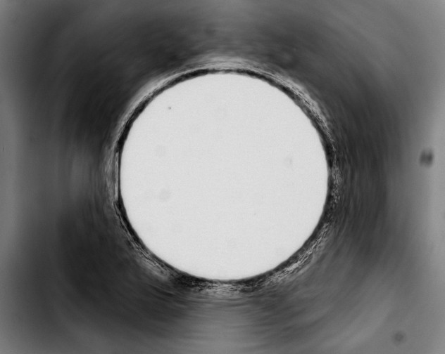 X0000103401175200810241004