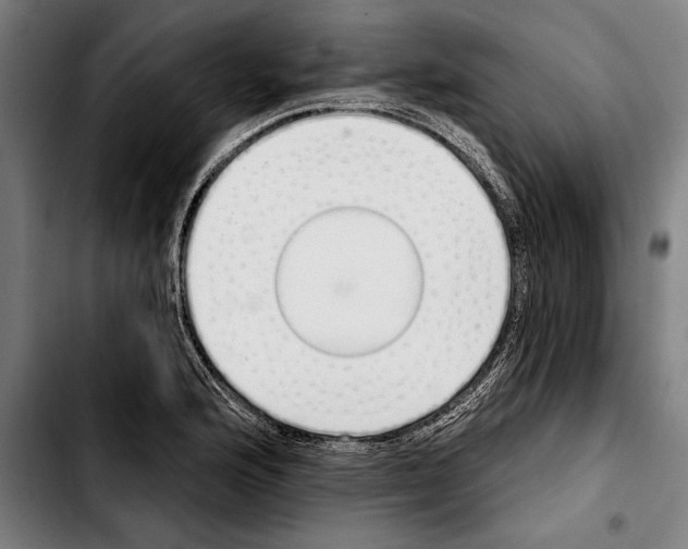 X0000103401176200810241004