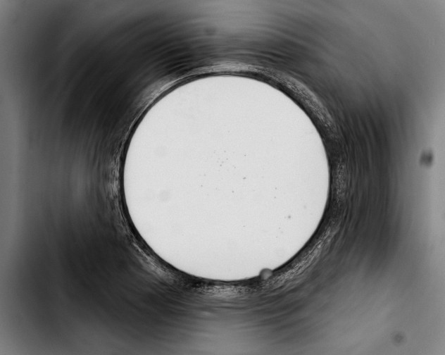 X0000103401177200810241004