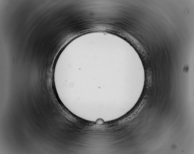 X0000103401178200810241004