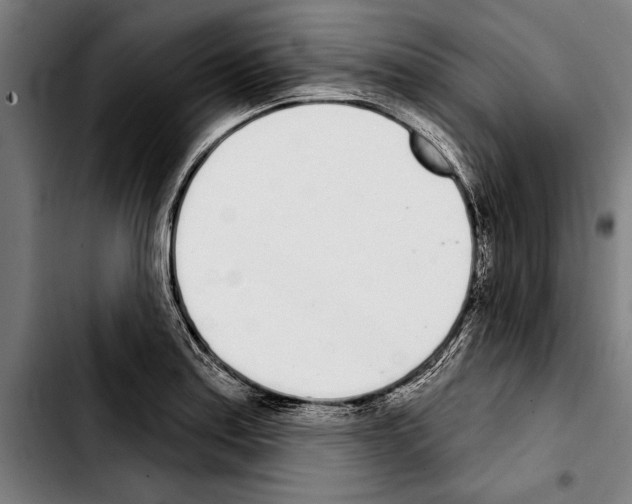 X0000103401179200810241004