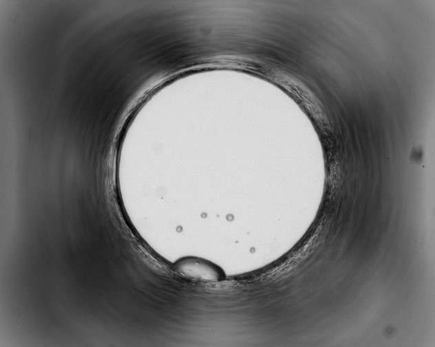 X0000103401180200810241004