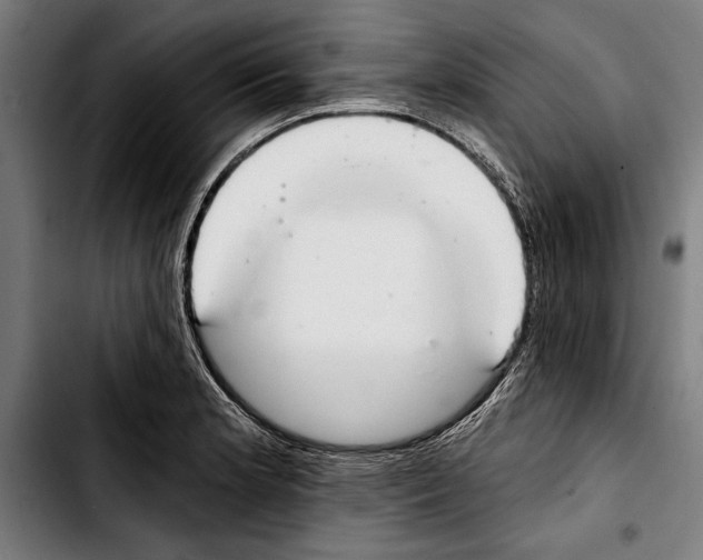 X0000103401181200810241004