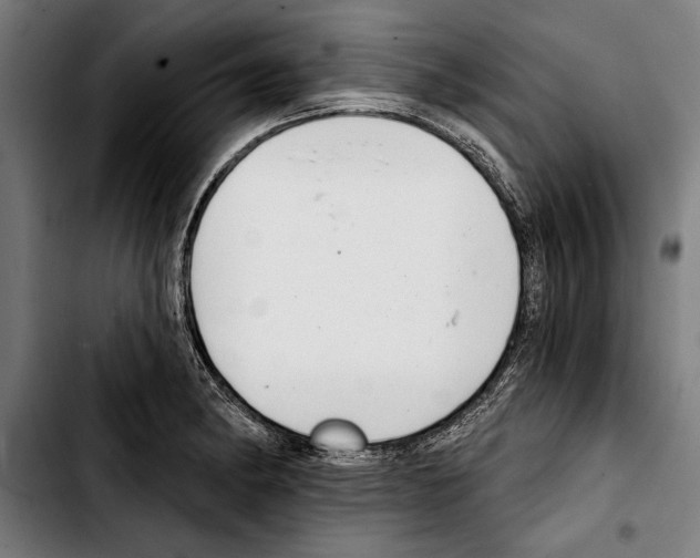 X0000103401182200810241004