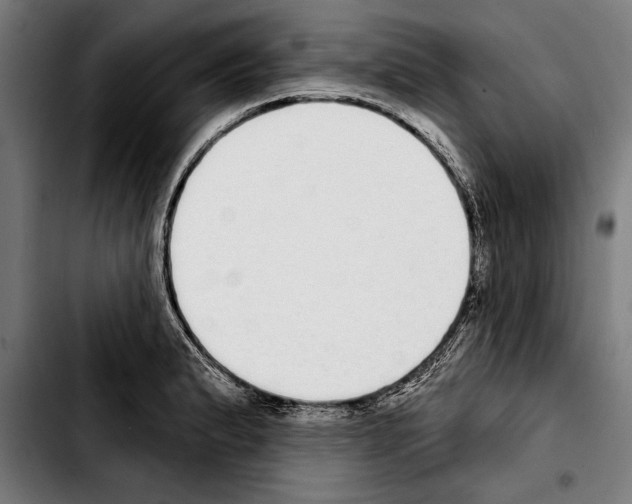 X0000103401183200810241004