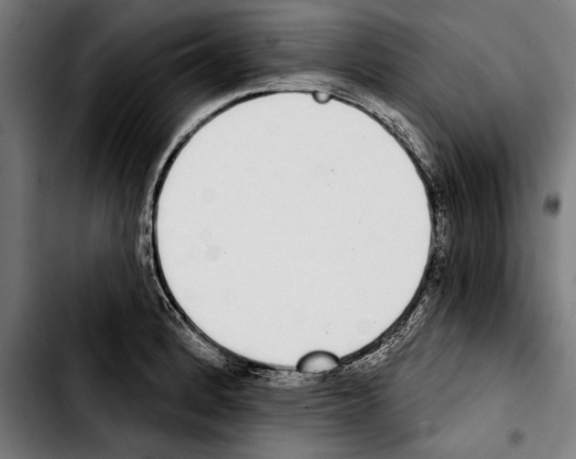 X0000103401184200810241004