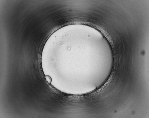 X0000103401185200810241004