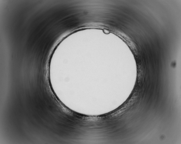 X0000103401188200810241004