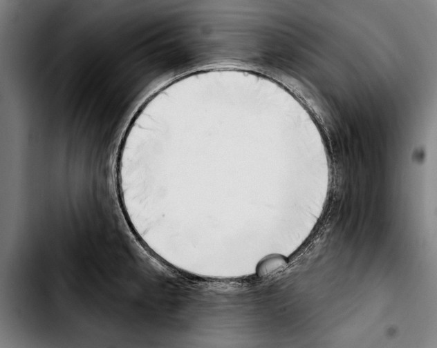 X0000103401189200810241004