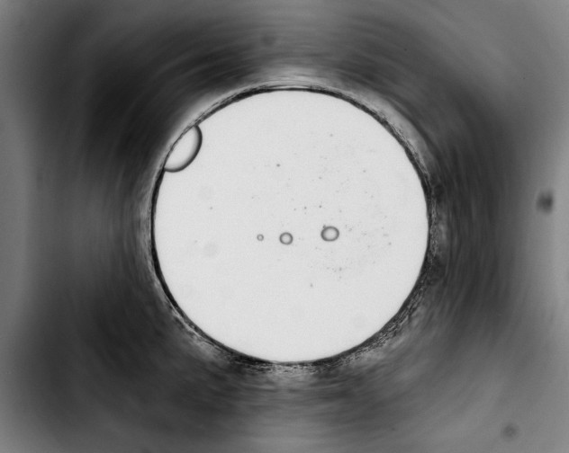 X0000103401191200810241004