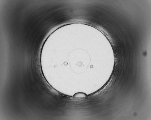 X0000103401192200810241004