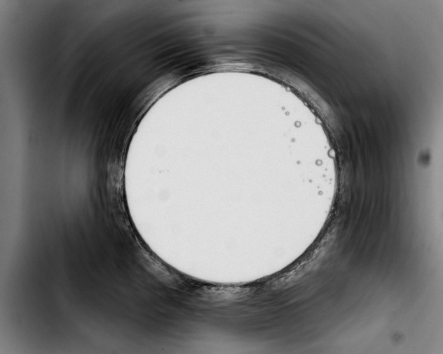 X0000103401193200810241004