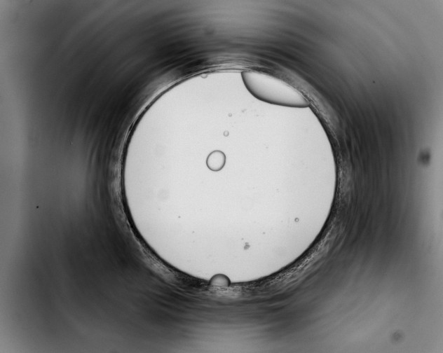 X0000103401194200810241004