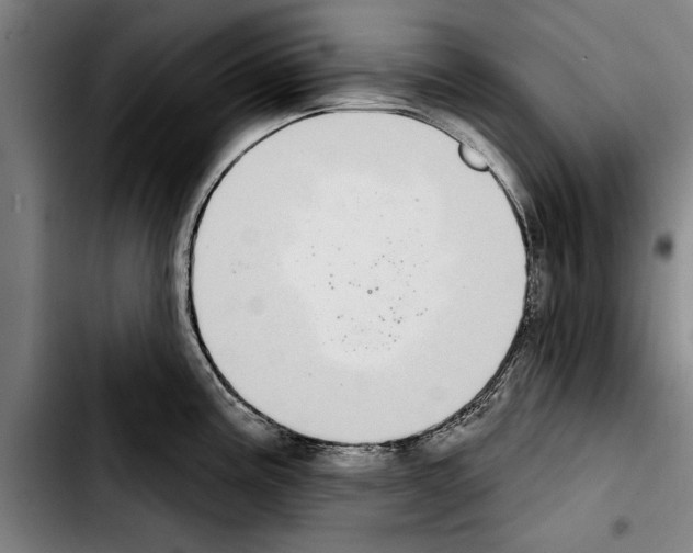 X0000103401195200810241004