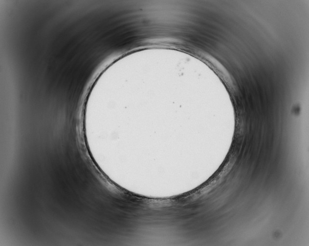 X0000103401196200810241004