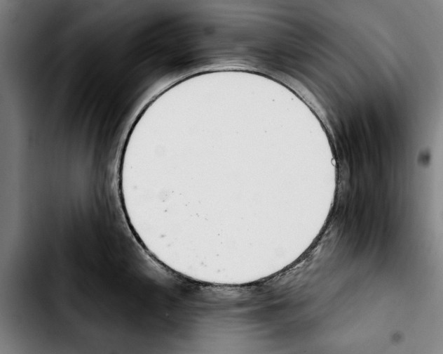 X0000103401197200810241004