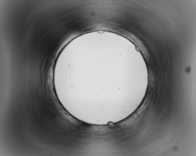 X0000103401198200810241004