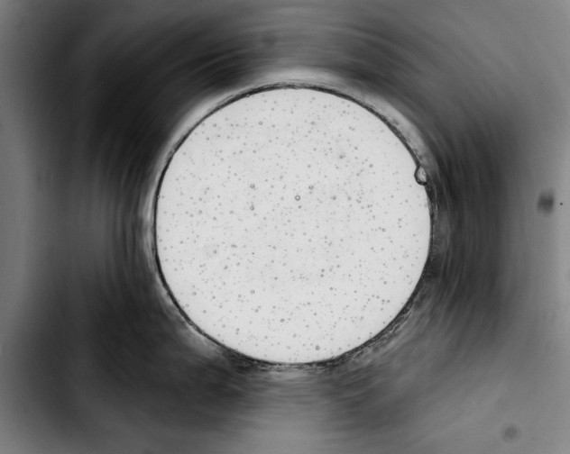 X0000103401199200810241004