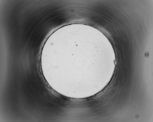 X0000103401200200810241004