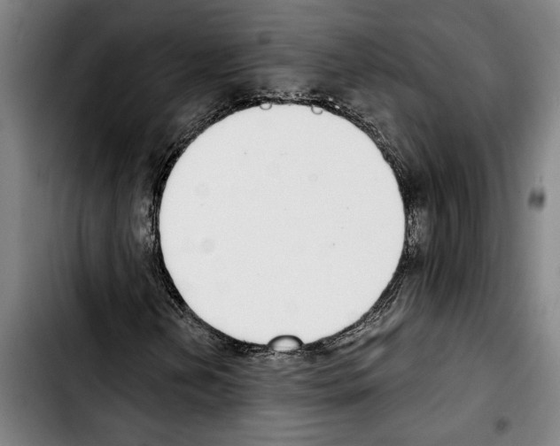 X0000103401202200810241003