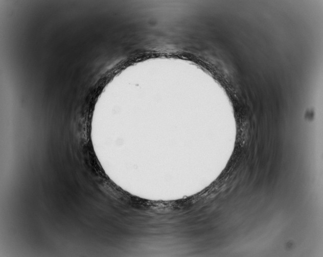 X0000103401205200810241003