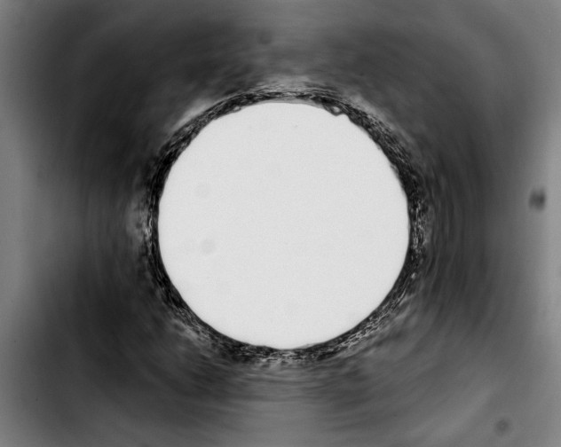 X0000103401206200810241003