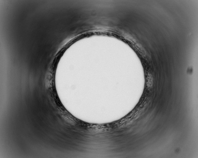 X0000103401208200810241003