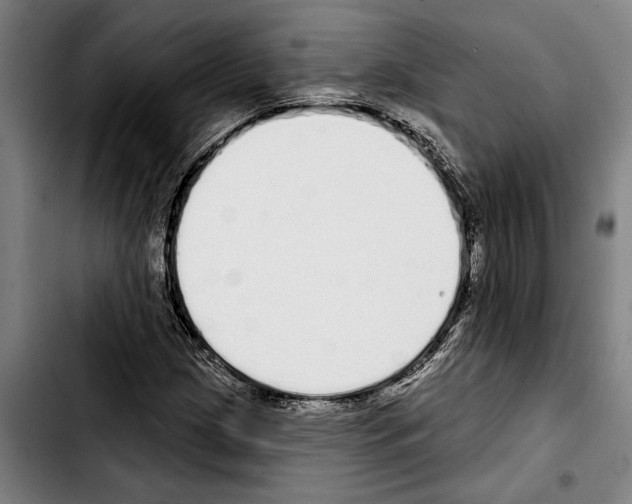 X0000103401209200810241003