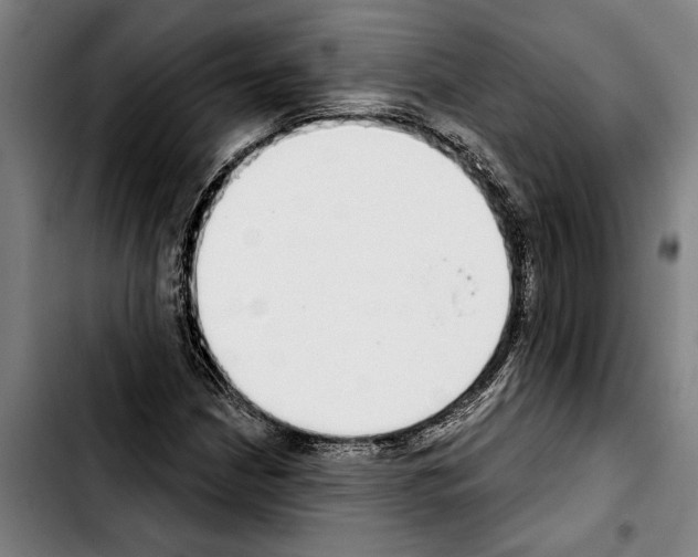 X0000103401210200810241003