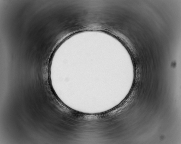 X0000103401212200810241003