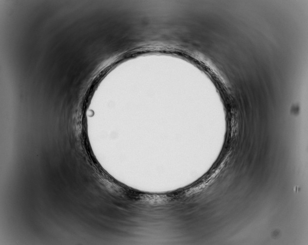 X0000103401213200810241003