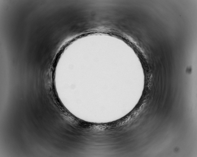 X0000103401214200810241003