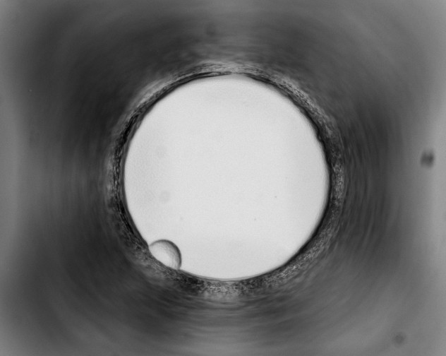 X0000103401215200810241003