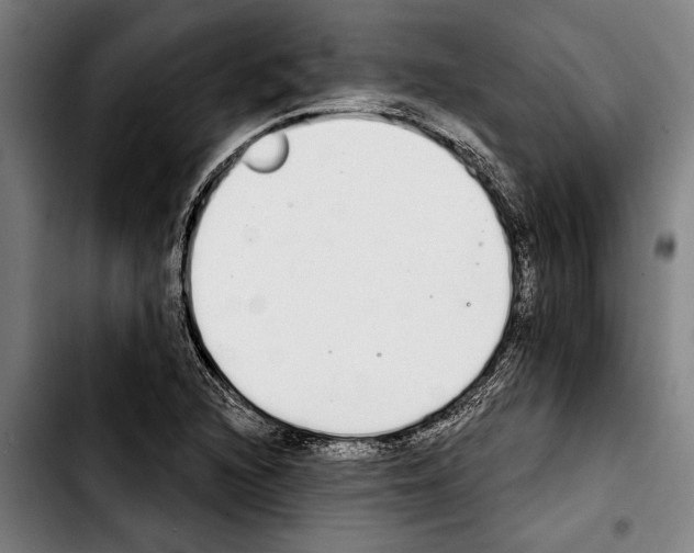 X0000103401216200810241003