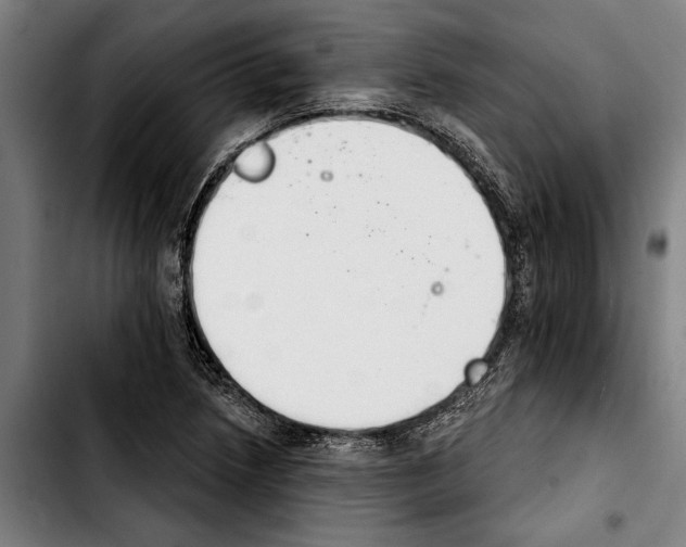 X0000103401218200810241003