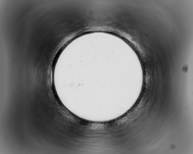 X0000103401221200810241003