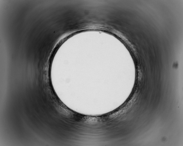 X0000103401222200810241003