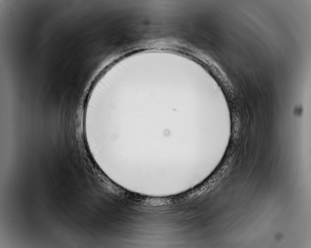 X0000103401224200810241003