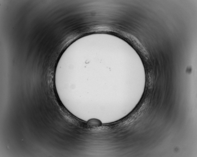 X0000103401225200810241003