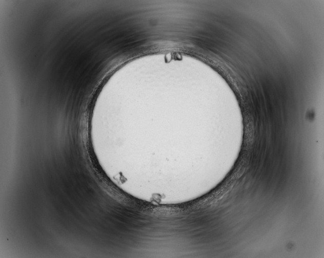 X0000103401227200810241003