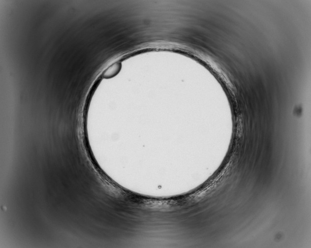 X0000103401229200810241004