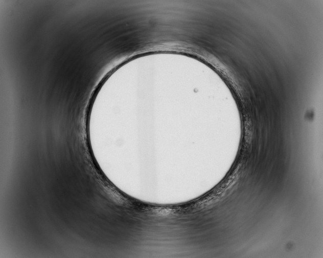 X0000103401230200810241004