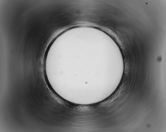 X0000103401231200810241004