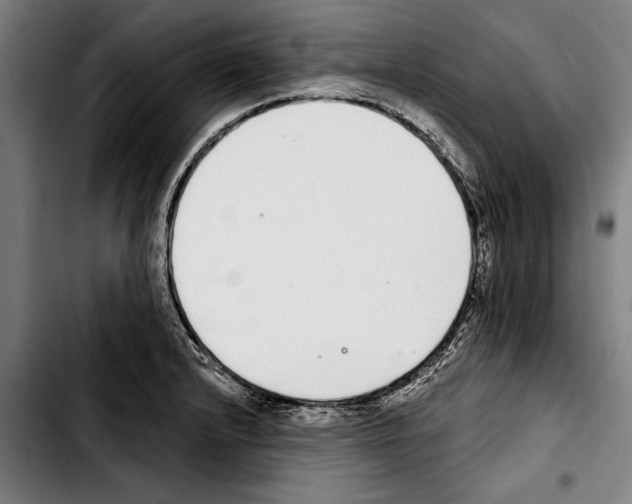 X0000103401232200810241004