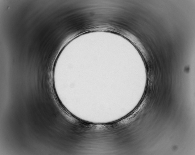 X0000103401234200810241004